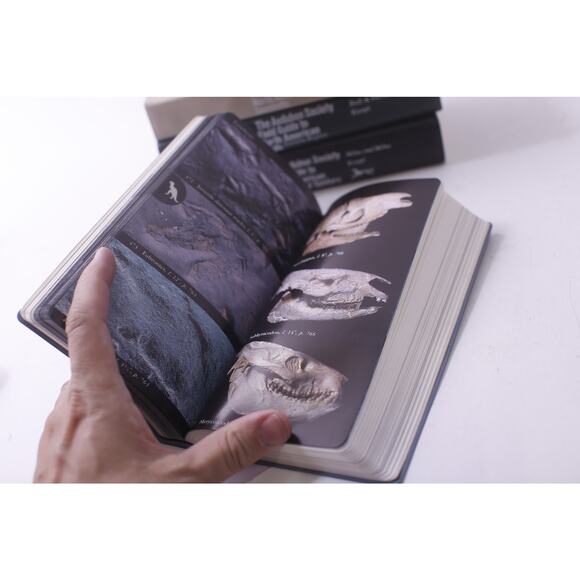 The Audubon Society Field Guide, Book Lot, Fossils, Seashells, ~ 250811-WH 490 - Picture 3 of 3